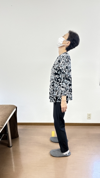 Case.01